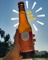 Plin Kombucha